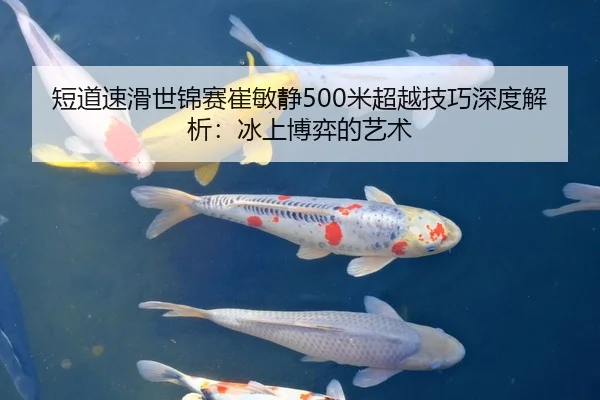 短道速滑世锦赛崔敏静500米超越技巧深度解析：冰上博弈的艺术