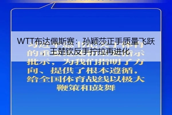 bu-da-pei-si-sai-sun-ying-sha-zheng-shou-zhi-liang-fei-yue-wang-chu-qin-fan-shou-ning-la-zai-jin-hua-2-697.jpg